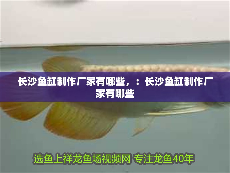 長沙魚缸制作廠家有哪些，：長沙魚缸制作廠家有哪些