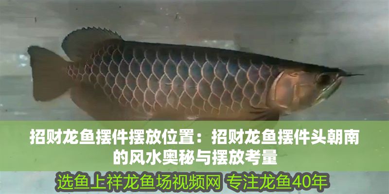 招財龍魚擺件擺放位置：招財龍魚擺件頭朝南的風水奧秘與擺放考量