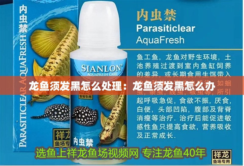 龍魚須發黑怎么處理：龍魚須發黑怎么辦