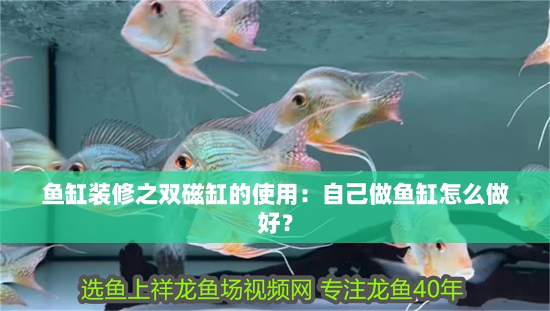 魚缸用增氧泵價格是多少:魚缸增氧機-xtrac增氧機-xtrac增氧機 魚缸裝修之雙磁缸的使用:自己做魚缸怎么做好? 魚缸百科 魚缸裝修之雙磁缸的使用:自己做魚缸怎么做好? 魚缸裝修之雙磁缸的使用:自己做魚缸怎么做好? 魚缸百科
