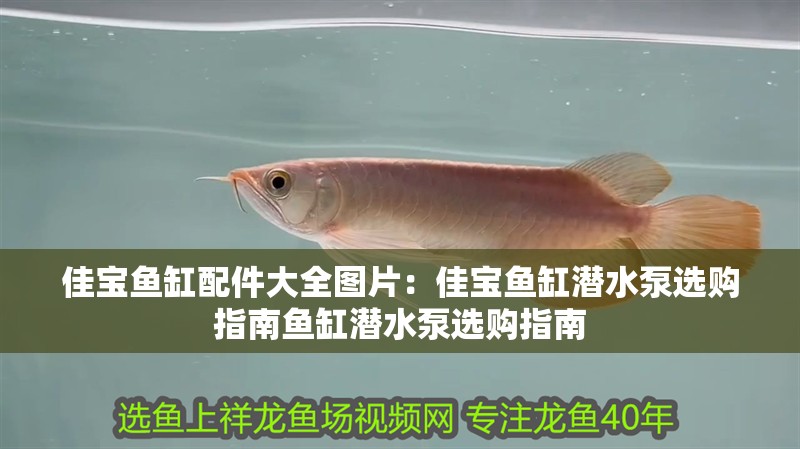 佳寶魚缸配件大全圖片：佳寶魚缸潛水泵選購(gòu)指南魚缸潛水泵選購(gòu)指南