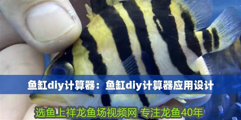 魚缸diy計算器：魚缸diy計算器應用設計