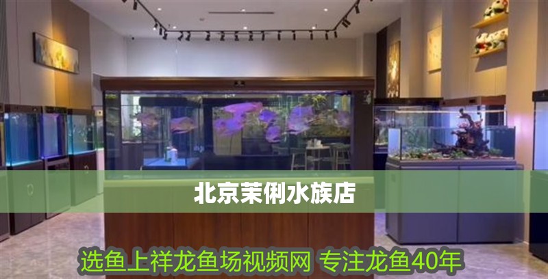 北京茉俐水族店