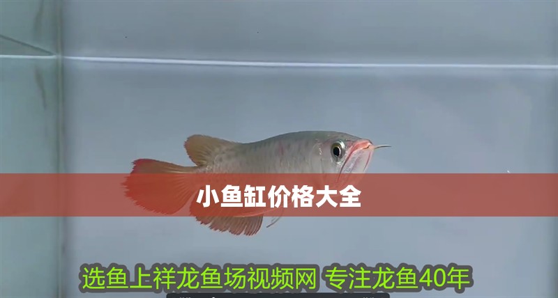 小魚缸價格大全
