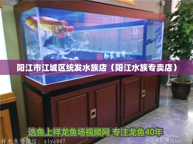陽(yáng)江市江城區(qū)統(tǒng)發(fā)水族店（陽(yáng)江水族專賣(mài)店）