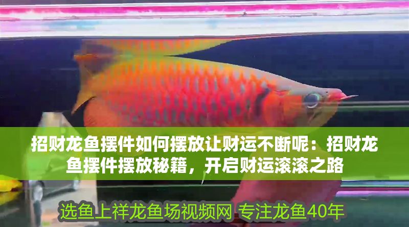 招財龍魚擺件如何擺放讓財運不斷呢：招財龍魚擺件擺放秘籍，開啟財運滾滾之路