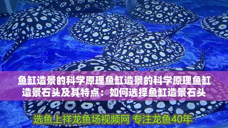 魚缸造景的科學原理魚缸造景的科學原理魚缸造景石頭及其特點：如何選擇魚缸造景石頭