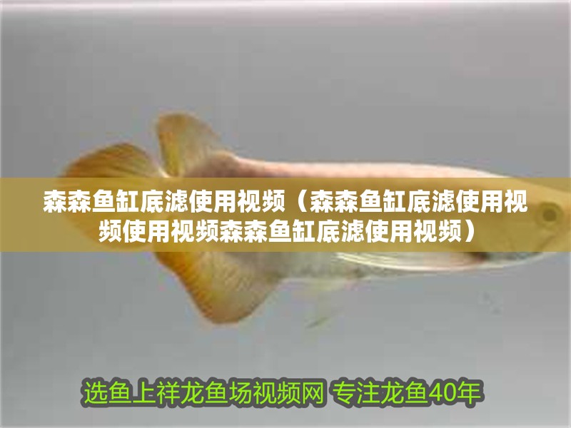 森森魚缸底濾使用視頻（森森魚缸底濾使用視頻使用視頻森森魚缸底濾使用視頻）
