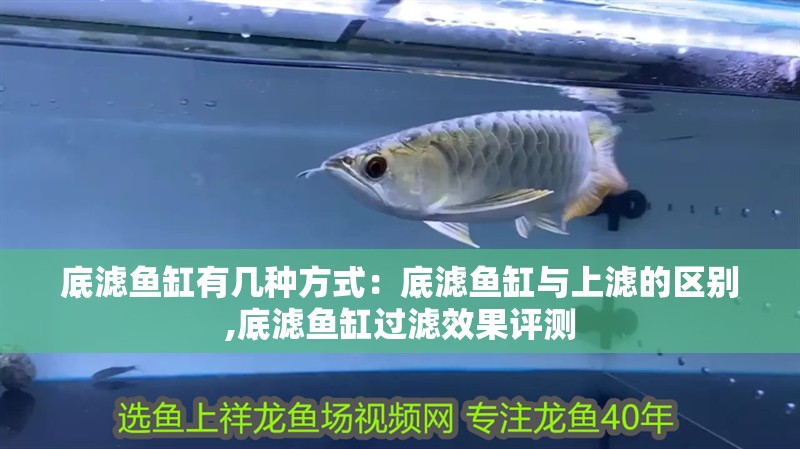 底濾魚缸有幾種方式：底濾魚缸與上濾的區別,底濾魚缸過濾效果評測