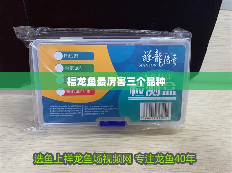 福龍魚最厲害三個品種