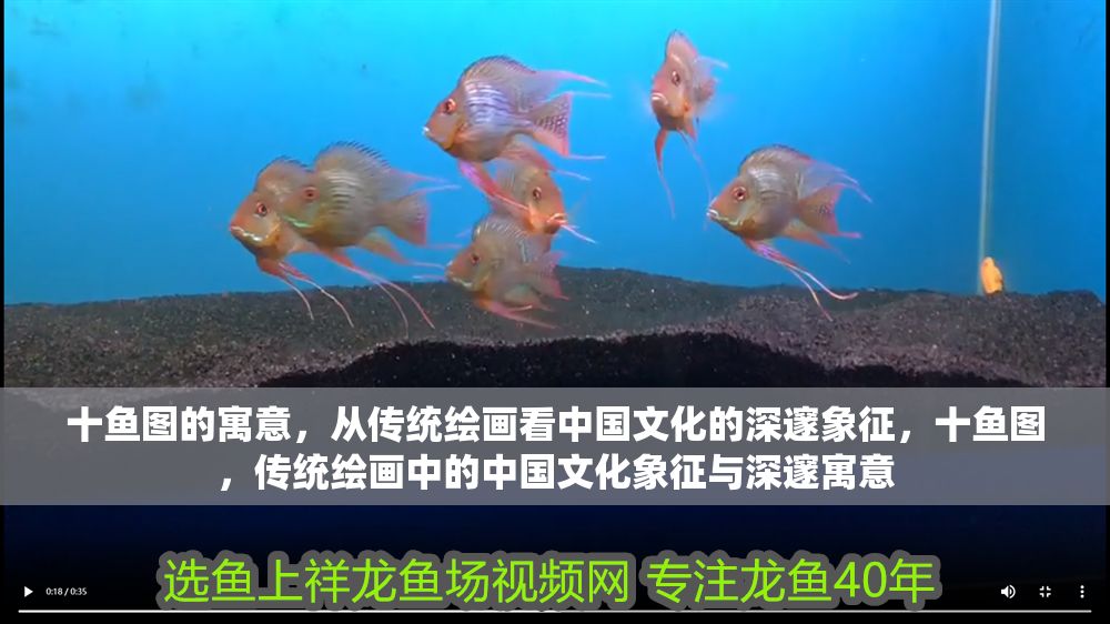 十魚圖的寓意，從傳統繪畫看中國文化的深邃象征，十魚圖，傳統繪畫中的中國文化象征與深邃寓意
