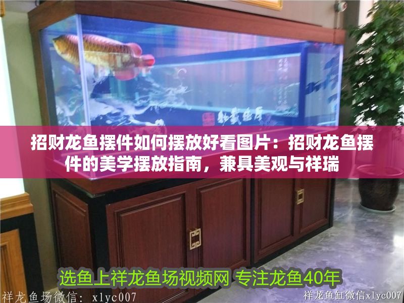招財龍魚擺件如何擺放好看圖片：招財龍魚擺件的美學擺放指南，兼具美觀與祥瑞