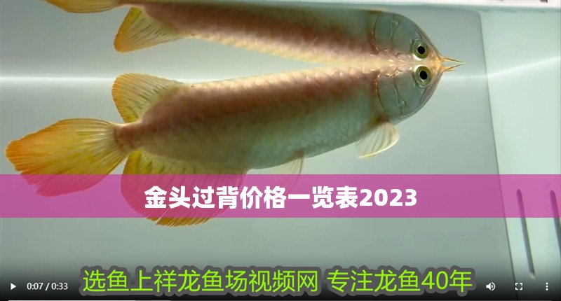 金頭過背價格一覽表2023