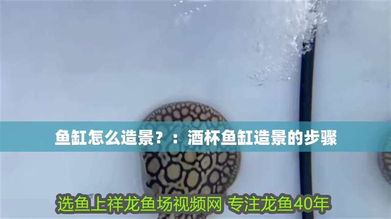 魚缸怎么造景？：酒杯魚缸造景的步驟