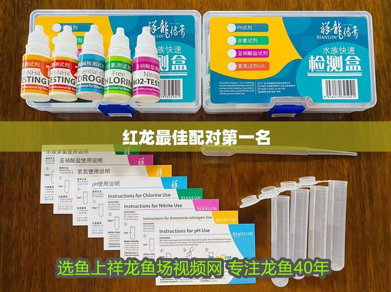 紅龍最佳配對第一名