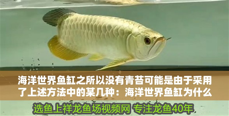 海洋世界魚缸之所以沒有青苔可能是由于采用了上述方法中的某幾種：海洋世界魚缸為什么沒有青苔水？