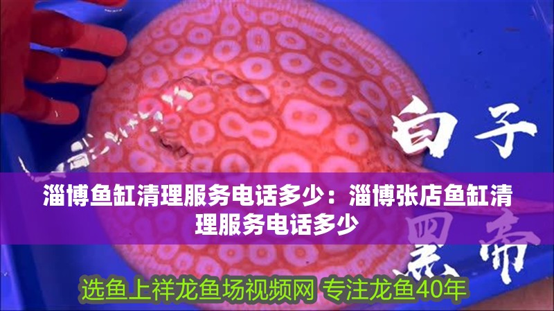 淄博魚缸清理服務電話多少：淄博張店魚缸清理服務電話多少