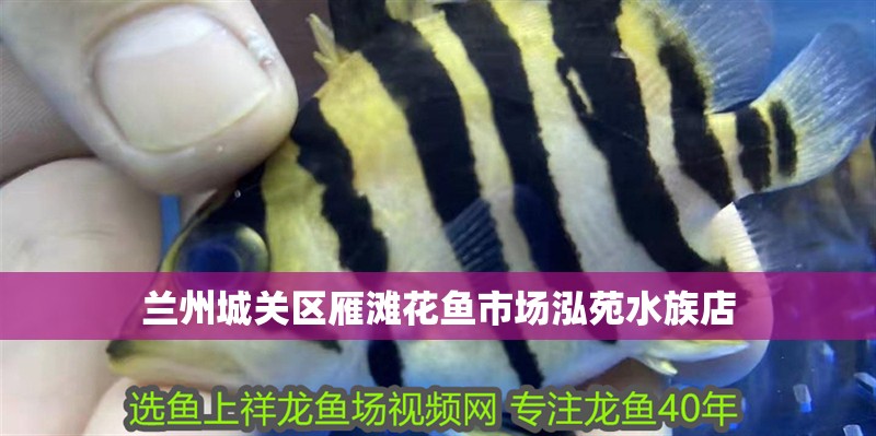 蘭州城關區雁灘花魚市場泓苑水族店