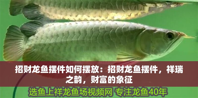 招財龍魚擺件如何擺放：招財龍魚擺件，祥瑞之韻，財富的象征