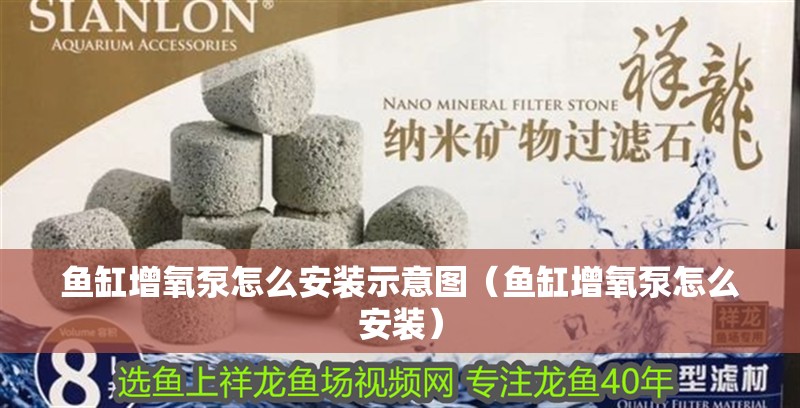 魚缸增氧泵怎么安裝示意圖（魚缸增氧泵怎么安裝）