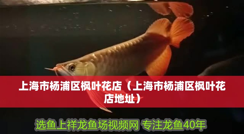上海市楊浦區(qū)楓葉花店（上海市楊浦區(qū)楓葉花店地址）