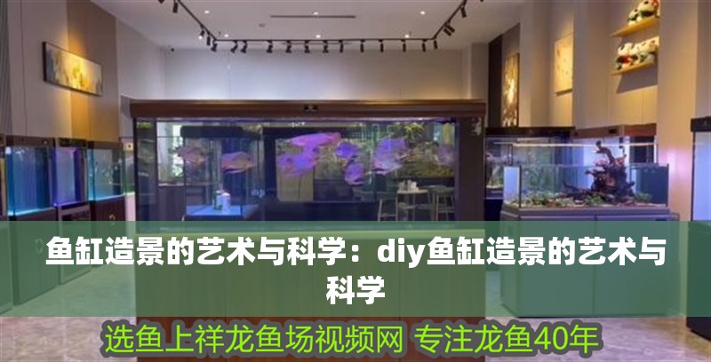 魚(yú)缸造景的藝術(shù)與科學(xué)：diy魚(yú)缸造景的藝術(shù)與科學(xué) 魚(yú)缸造景的藝術(shù)與科學(xué)：diy魚(yú)缸造景的藝術(shù)與科學(xué) 魚(yú)缸百科