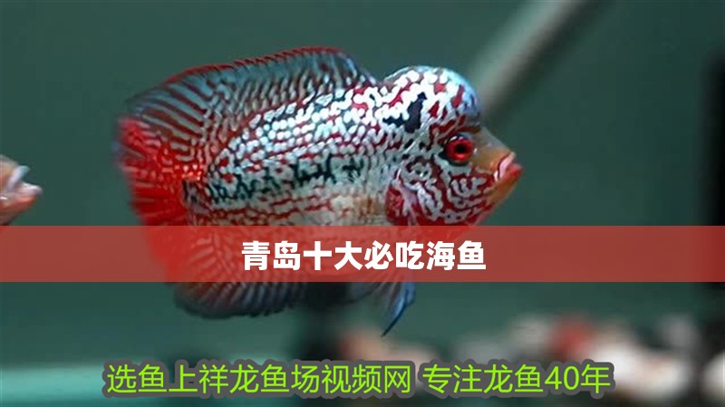 青島十大必吃海魚