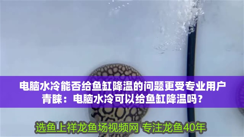 電腦水冷能否給魚缸降溫的問題更受專業用戶青睞：電腦水冷可以給魚缸降溫嗎？