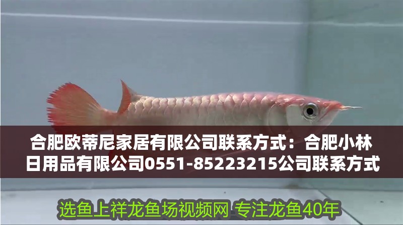 合肥歐蒂尼家居有限公司聯系方式：合肥小林日用品有限公司0551-85223215公司聯系方式