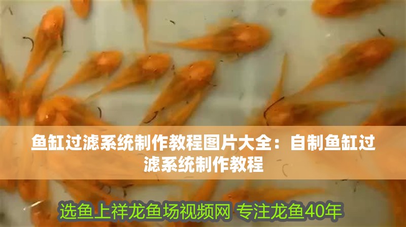 魚缸過濾系統制作教程圖片大全：自制魚缸過濾系統制作教程