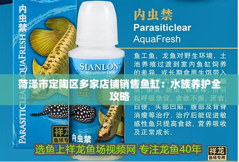 菏澤市<strong><mark>定陶</mark></strong>區多家店鋪銷售魚缸：水族養護全攻略