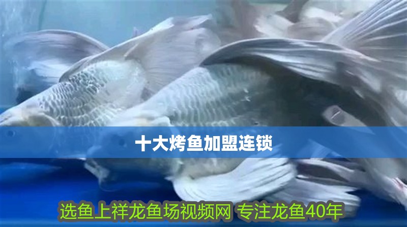 十大烤魚加盟連鎖