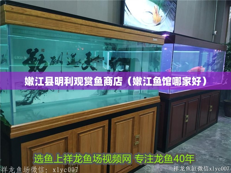<strong><mark>嫩江</mark></strong>縣明利觀賞魚商店（<strong><mark>嫩江</mark></strong>魚館哪家好）