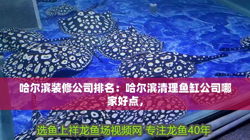 哈爾濱裝修公司排名：哈爾濱清理魚缸公司哪家好點，