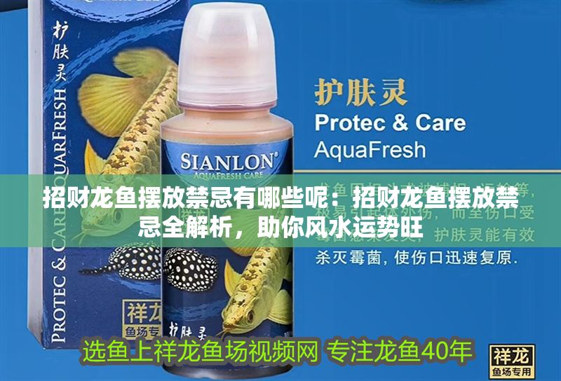 招財龍魚擺放禁忌有哪些呢：招財龍魚擺放禁忌全解析，助你風水運勢旺