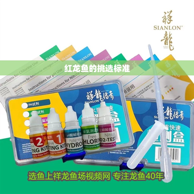 紅龍魚的挑選標準