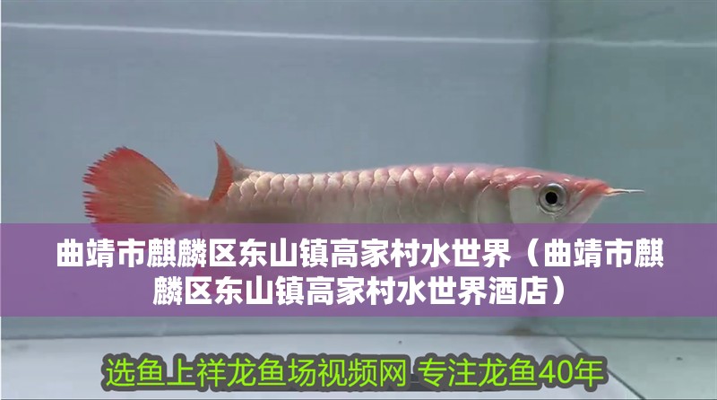 曲靖市麒麟?yún)^(qū)東山鎮(zhèn)高家村水世界（曲靖市麒麟?yún)^(qū)東山鎮(zhèn)高家村水世界酒店） 曲靖市麒麟?yún)^(qū)東山鎮(zhèn)高家村水世界（曲靖市麒麟?yún)^(qū)東山鎮(zhèn)高家村水世界酒店） 全國水族館企業(yè)名錄