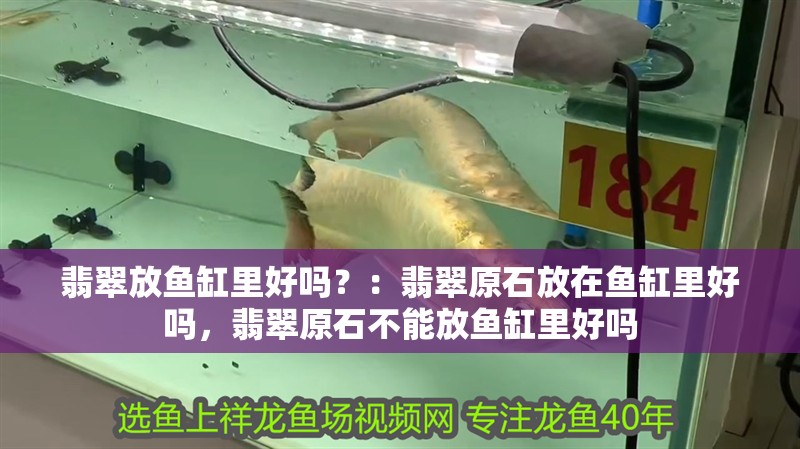 翡翠放魚缸里好嗎？：翡翠原石放在魚缸里好嗎，翡翠原石不能放魚缸里好嗎