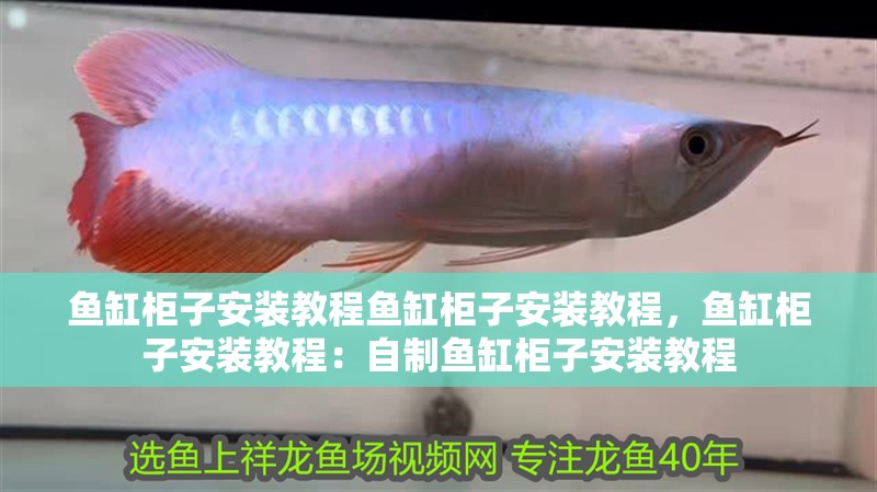 魚缸柜子安裝教程魚缸柜子安裝教程，魚缸柜子安裝教程：自制魚缸柜子安裝教程