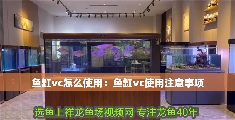 魚缸vc怎么使用：魚缸vc使用注意事項