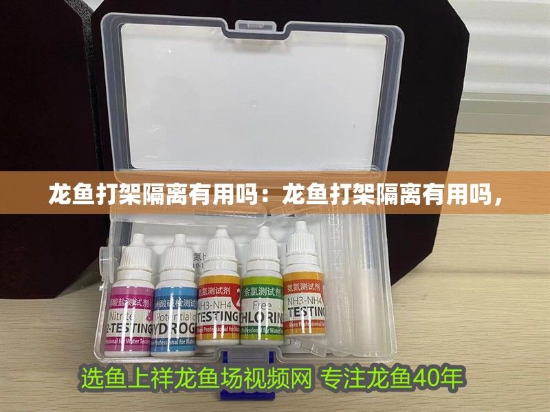 龍魚打架隔離有用嗎：龍魚打架隔離有用嗎，
