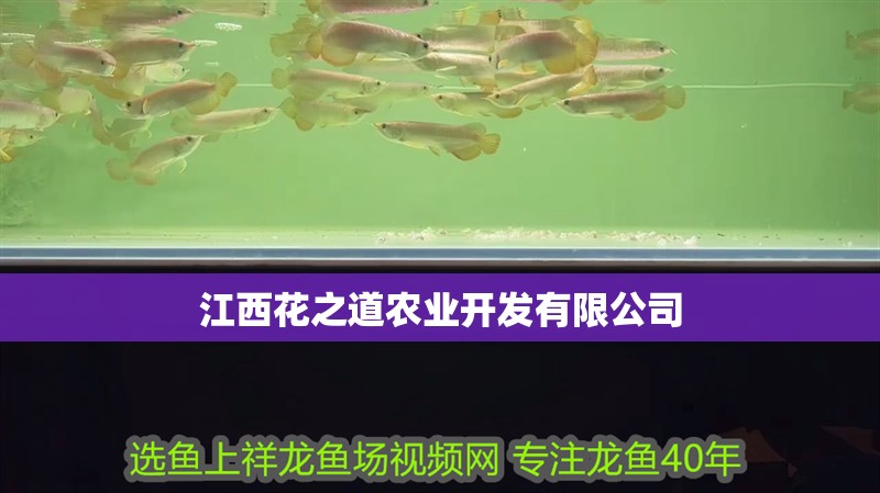 <strong><mark>江西</mark></strong>花之道農業開發有限公司