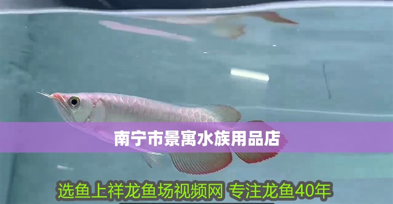 南寧市景寓水族用品店