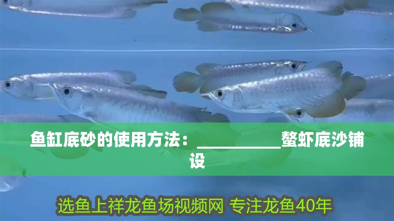 魚缸底砂的使用方法：__________螯蝦底沙鋪設