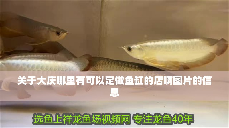 關于大慶哪里有可以定做魚缸的店啊圖片的信息 全國水族館企業名錄 關于大慶哪里有可以定做魚缸的店啊圖片的信息 關于大慶哪里有可以定做魚缸的店啊圖片的信息 全國水族館企業名錄