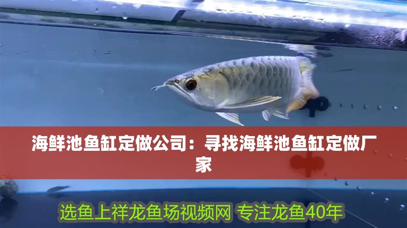 海鮮池魚缸定做公司：尋找海鮮池魚缸定做廠家