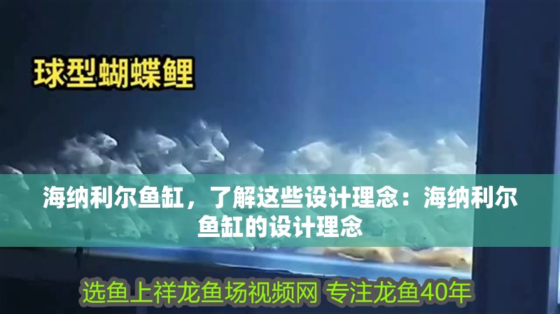 海納利爾魚缸，了解這些設計理念：海納利爾魚缸的設計理念