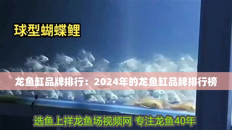 龍魚缸品牌排行：2024年的龍魚缸品牌排行榜