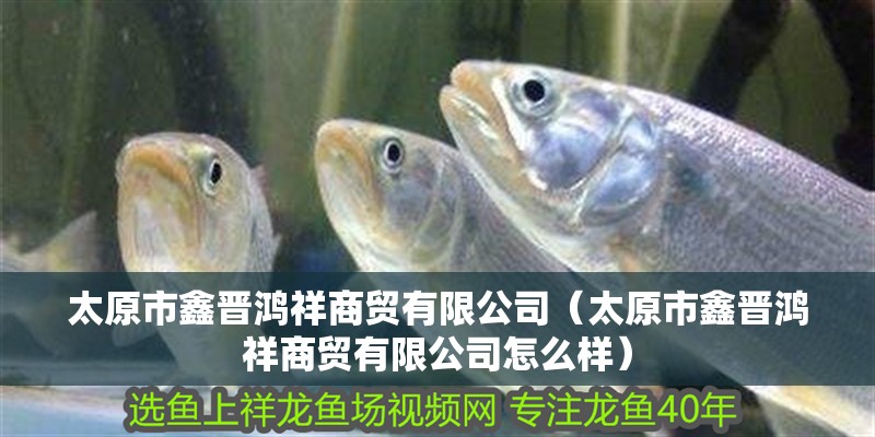 太原市鑫晉鴻祥商貿(mào)有限公司（太原市鑫晉鴻祥商貿(mào)有限公司怎么樣）