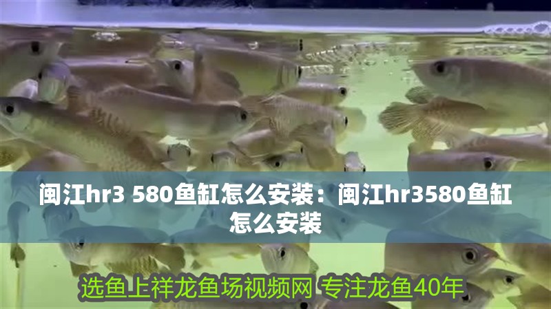閩江hr3 580魚缸怎么安裝：閩江hr3580魚缸怎么安裝